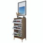 Hanah Home EB116 - 4717 Armario para Zapatos Nogal y Blanco